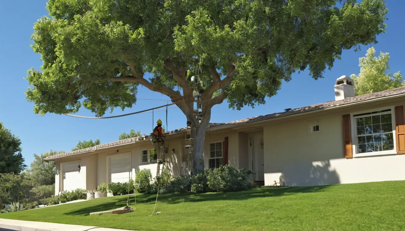 Local tree removal provider cutting a large tree in sections above a stucco ranch home in the San Clemente area